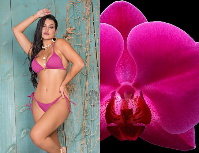 Tendências em cores e estampas primavera/verão 2021/2022 Ouseuse
